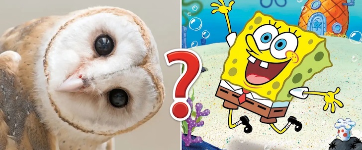 Your IQ Is Impressive If You Pass This General Knowledge Quiz