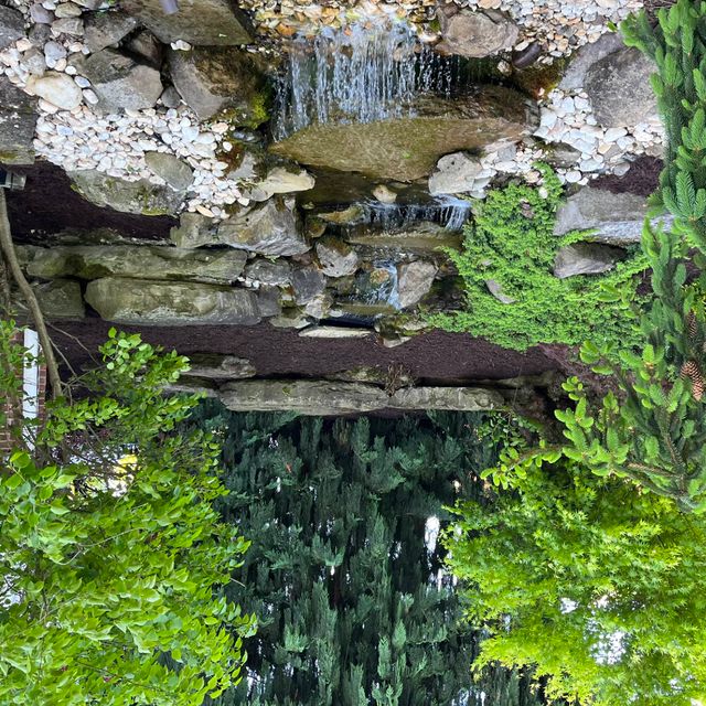 360 Landscape Services