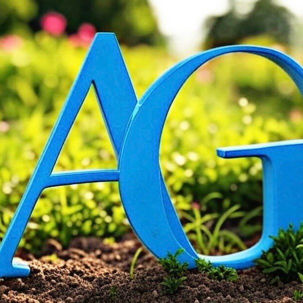AG Landscaping & Maintenance LLC