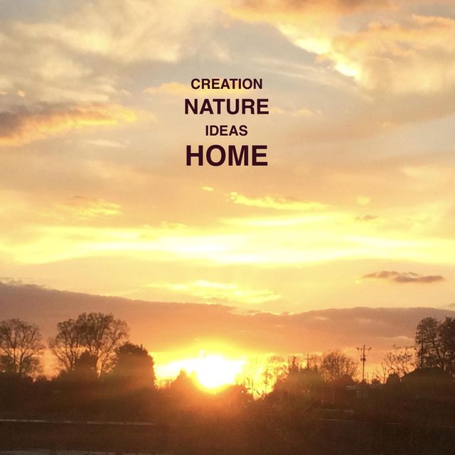 Alma Home Solutions LLC