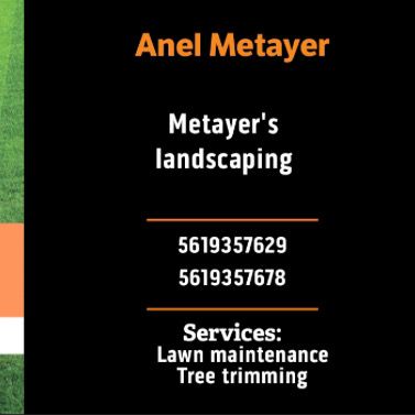 Anel’s lawn care