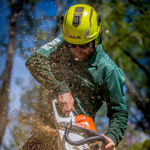 Associated Arborists