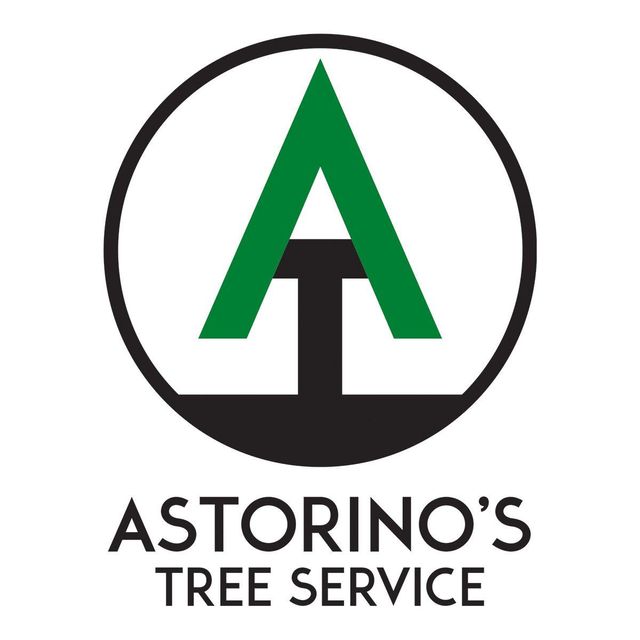 Astorino's Tree Service