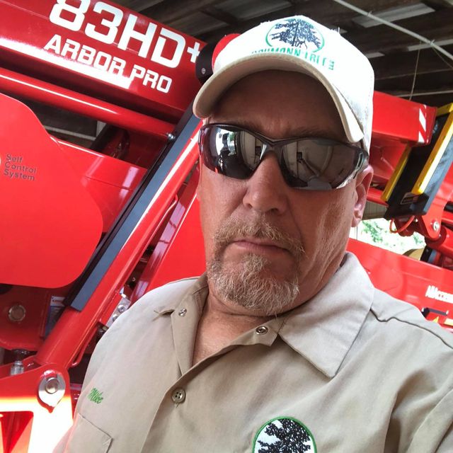 Baumann Tree, LLC