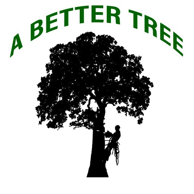 A Better Tree LLC
