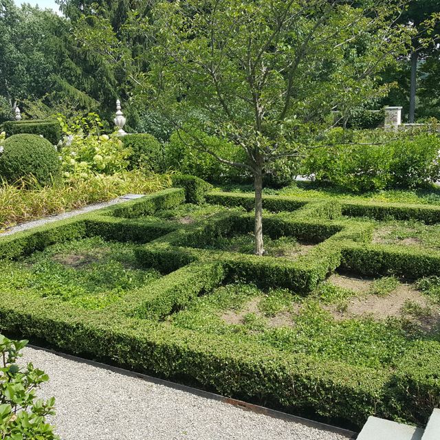 Cerritos Landscaping