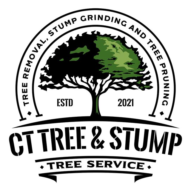 CT Tree and Stump