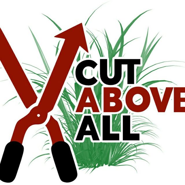 A Cut Above All
