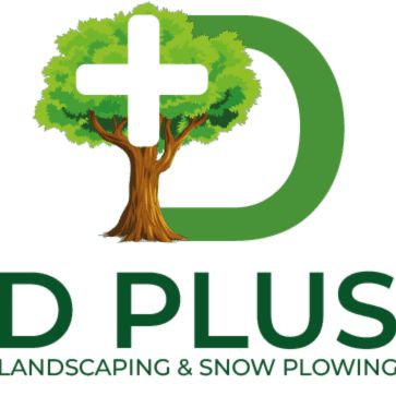 D Plus Landscaping & Snow Plowing