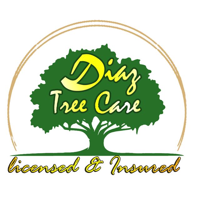 DIAZ TREE CARE