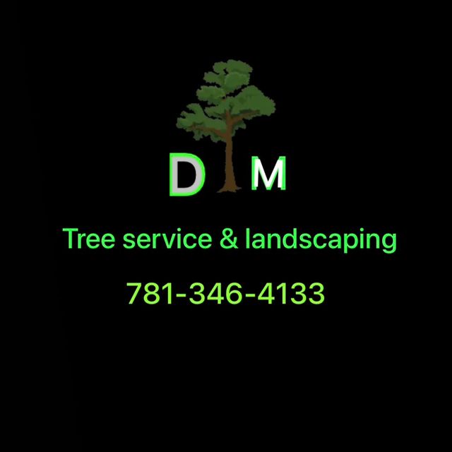 DM Tree Service and Landscaping