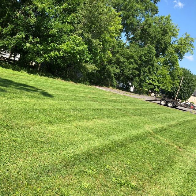 D&Ts Lawncare