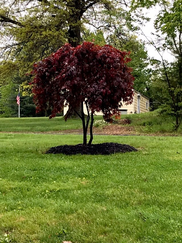 Edland landscaping LLC