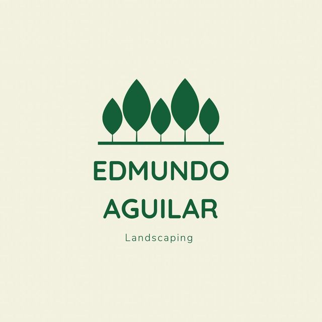 Edmundo Aguilar LLC