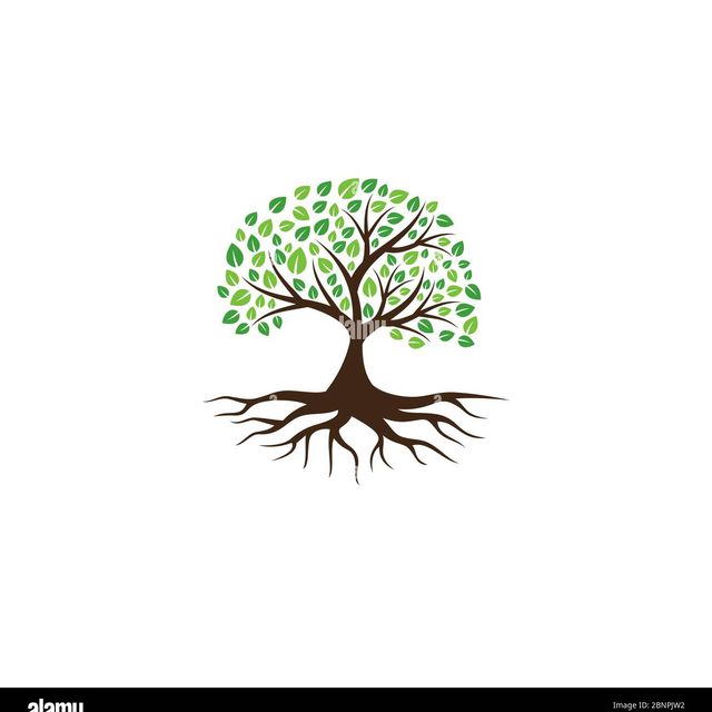 Esquivel’s tree service