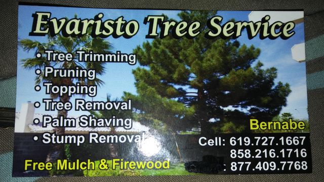 Evaristo tree service