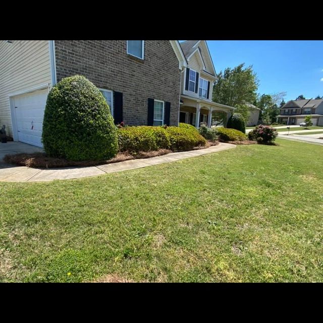 Evergreen landscaping