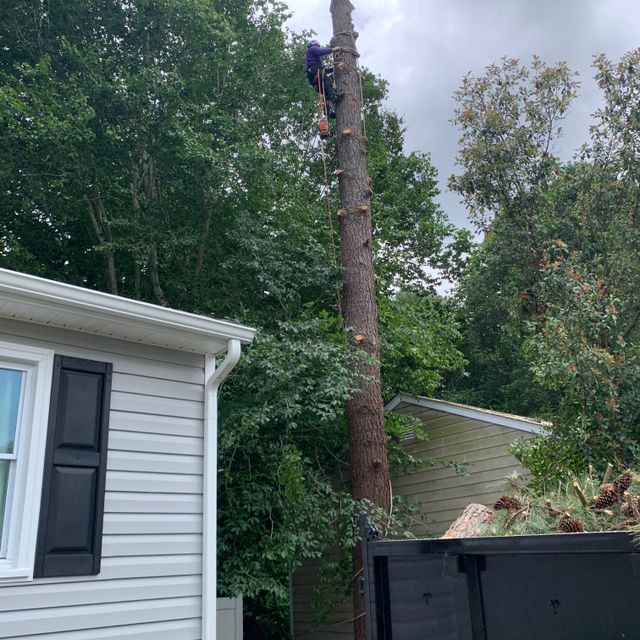 EXOTIC TREE SERVICES LLC