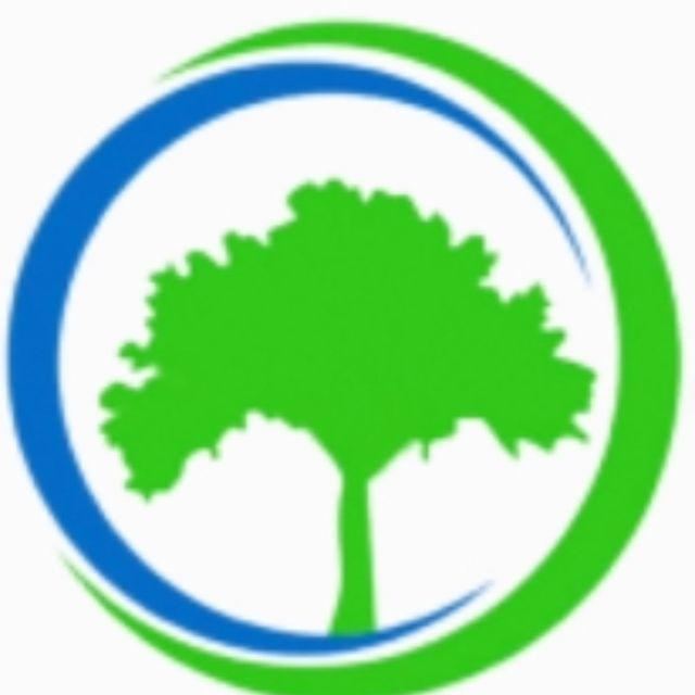 Experienced Tree Service