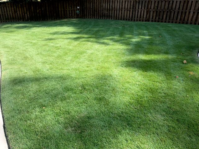 Flores lawn care llc