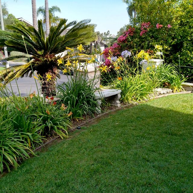 The garden of Eli