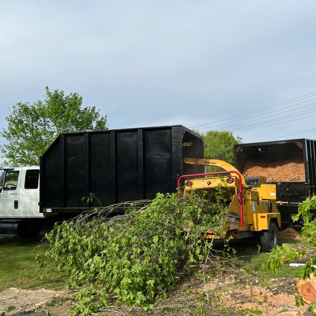 Gomez Tree Service LLC
