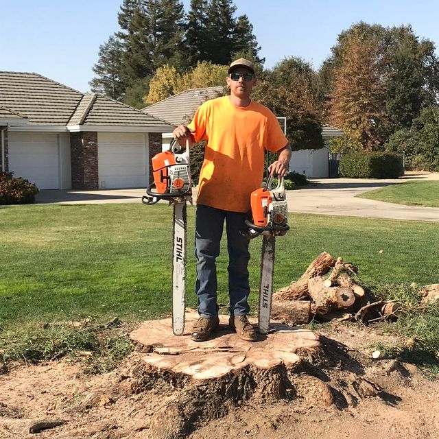 Gromek tree service & land clearing