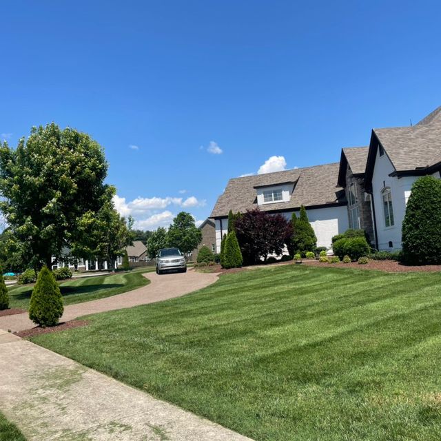 HERNANDEZ LANSCAPING