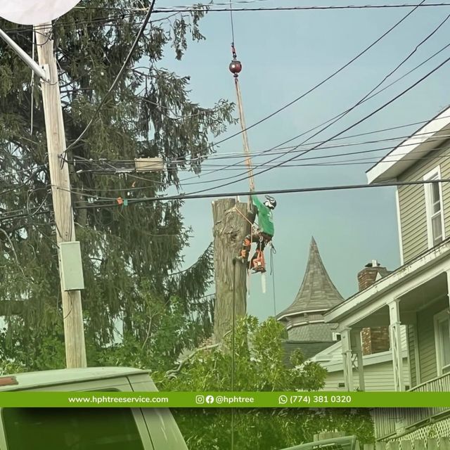 HPH Tree Service