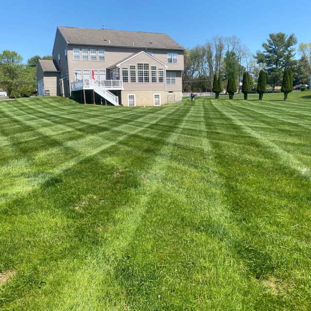 Impressive Lawncare and Landscaping no in