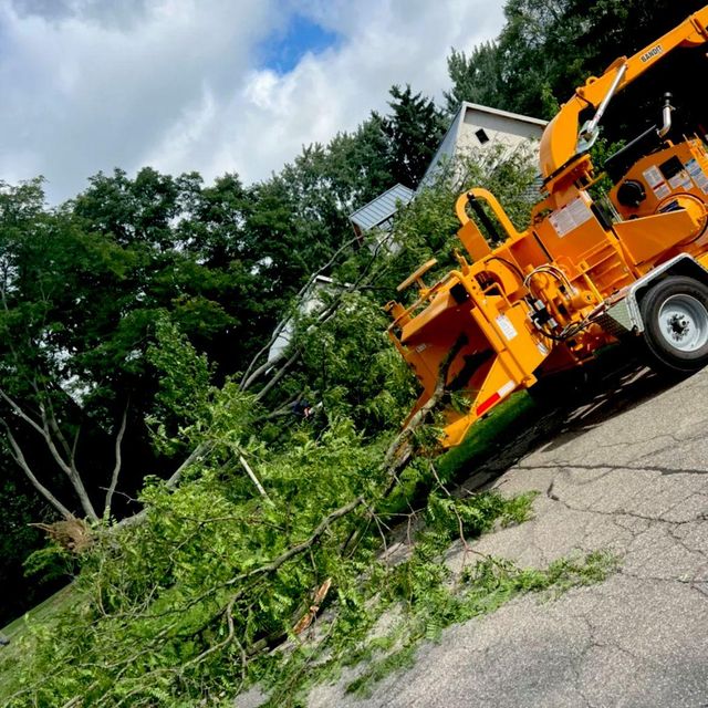 J&J Tree Care