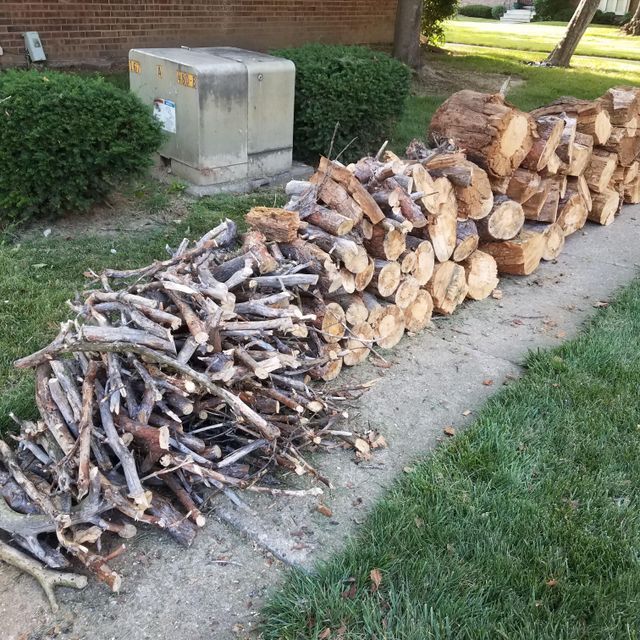 JLBISTC Tree Services