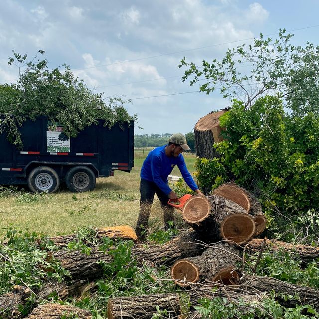 Jose Tree Service