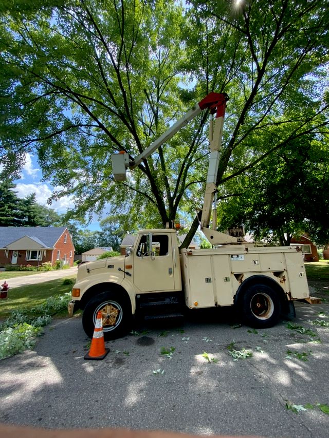 JUNIOR TREE SERVICE