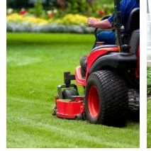 Just Aeration and Mowing