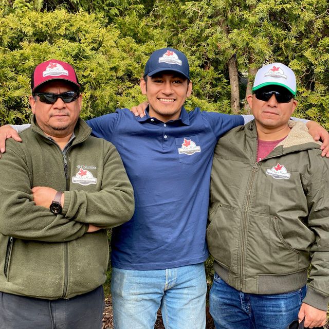 King Maple Landscaping LLC