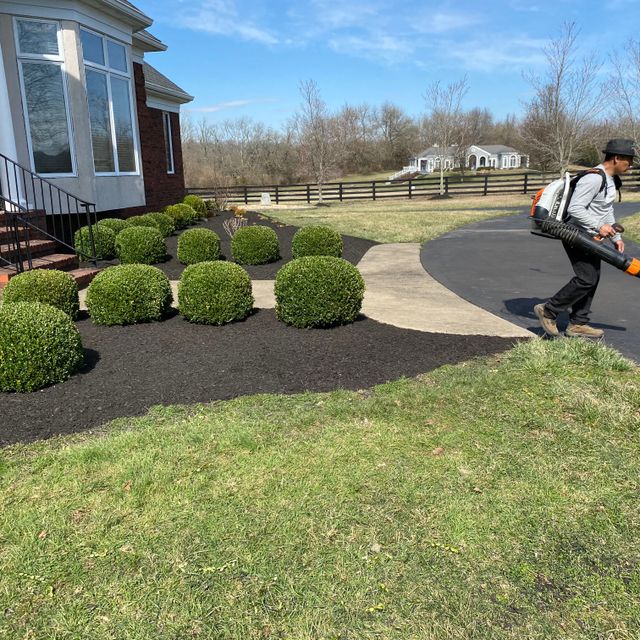 L K ramírez landscaping