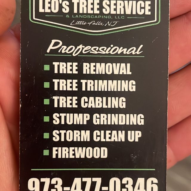 Leo's Tree Service