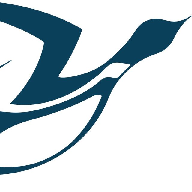 Loon Electrical, LLC