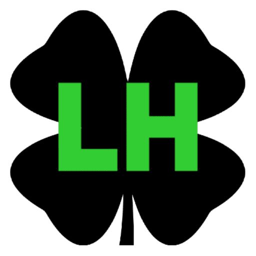 Lucky Home Solutions