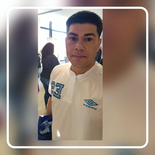 Luis landscaping