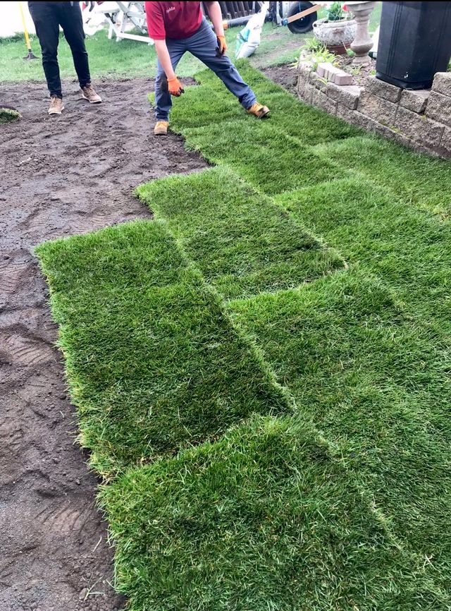 Madison Daniel’s landscaping