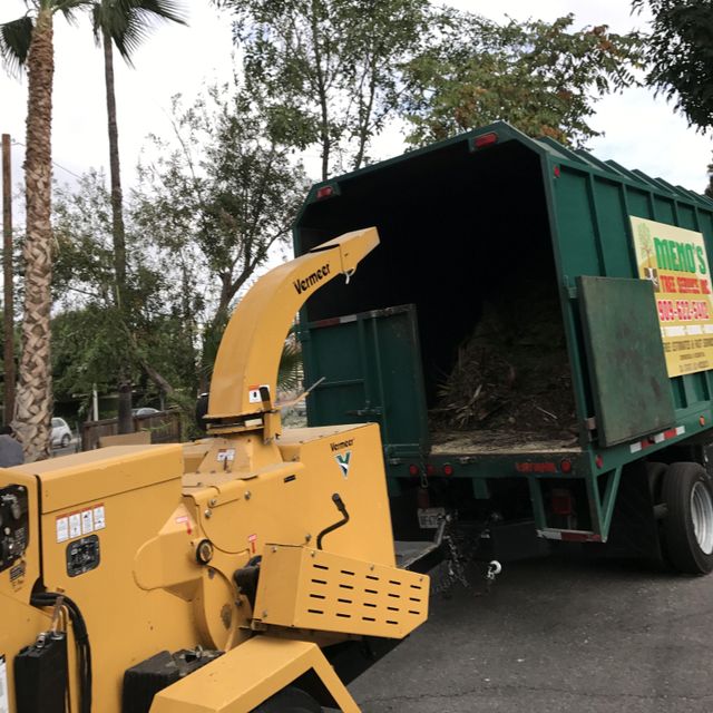 MENO’S TREE SERVICE