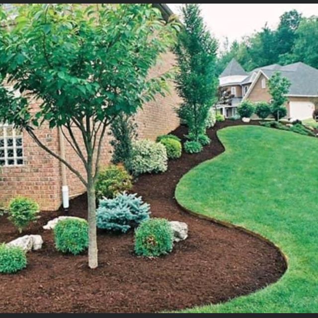 Mike tree services