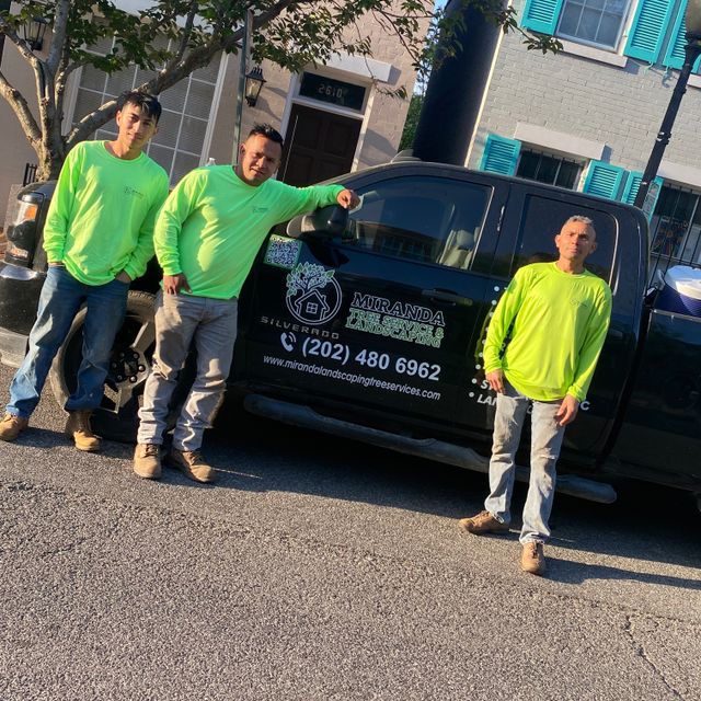 Miranda Tree Service & Landscaping