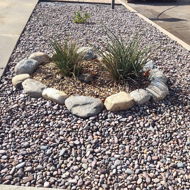 Neat & Green Landscape maintenance