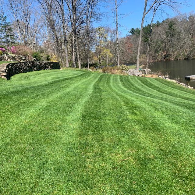 Nova landscaping Llc