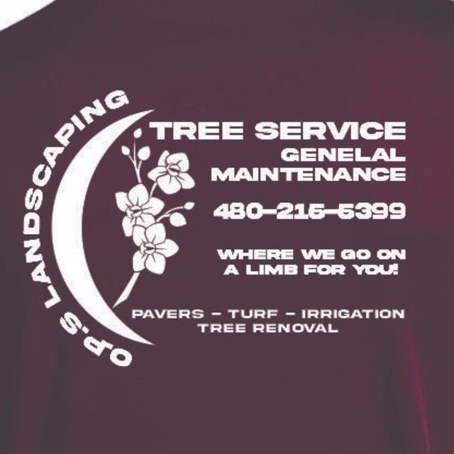 Pantoja services llc