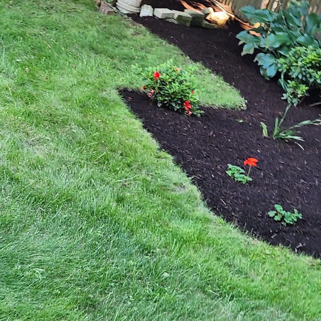 Perez landscaping services inc