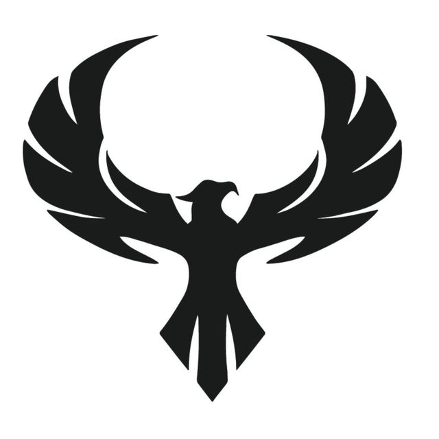 Phoenix Construction LLC